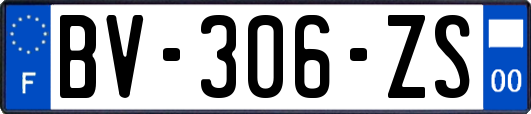 BV-306-ZS