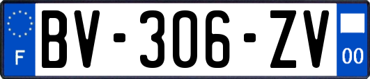 BV-306-ZV