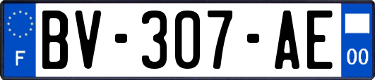 BV-307-AE