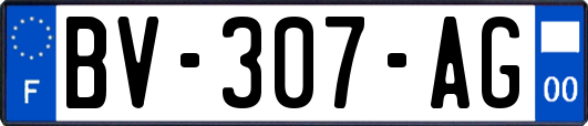 BV-307-AG