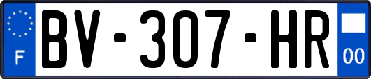 BV-307-HR
