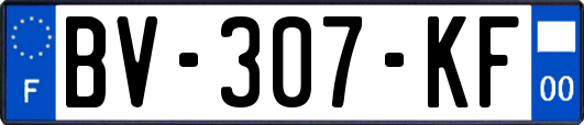 BV-307-KF