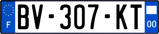 BV-307-KT