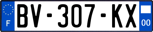 BV-307-KX
