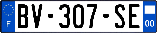 BV-307-SE