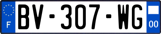 BV-307-WG