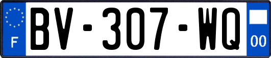 BV-307-WQ