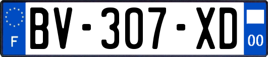 BV-307-XD