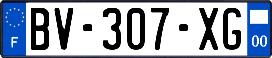 BV-307-XG