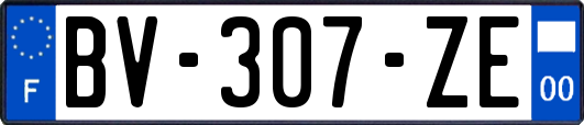 BV-307-ZE