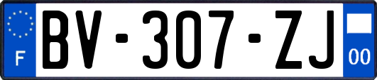 BV-307-ZJ