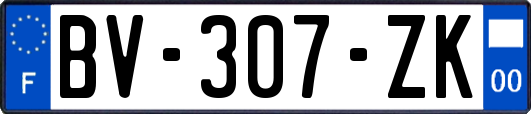 BV-307-ZK