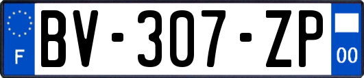 BV-307-ZP