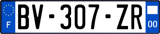 BV-307-ZR