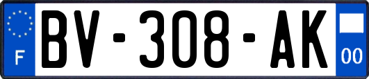 BV-308-AK