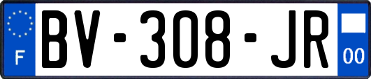 BV-308-JR