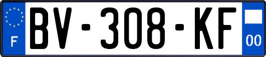 BV-308-KF