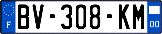 BV-308-KM