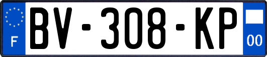 BV-308-KP