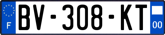 BV-308-KT