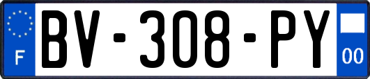 BV-308-PY