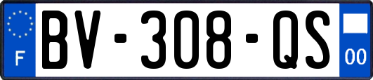 BV-308-QS