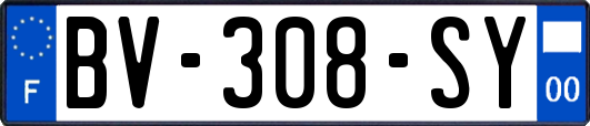 BV-308-SY