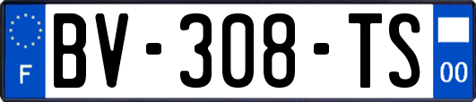 BV-308-TS