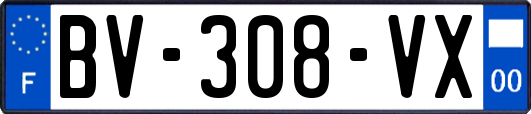 BV-308-VX