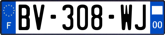 BV-308-WJ