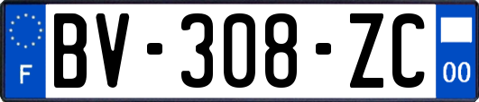 BV-308-ZC