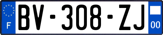 BV-308-ZJ