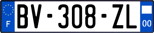 BV-308-ZL