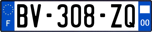 BV-308-ZQ