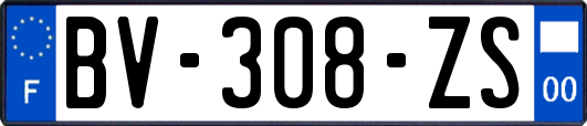 BV-308-ZS