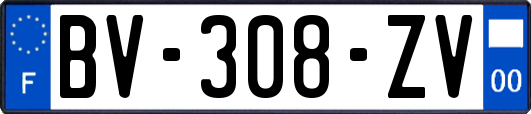 BV-308-ZV