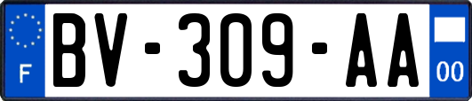 BV-309-AA