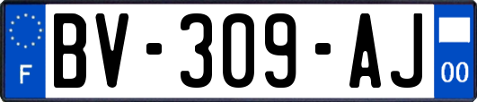 BV-309-AJ