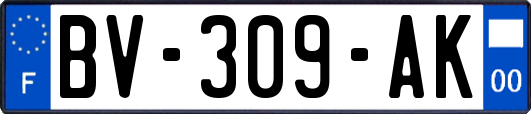 BV-309-AK