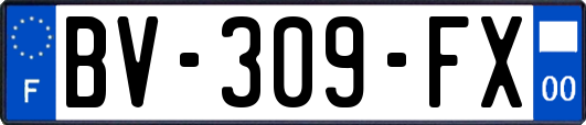 BV-309-FX