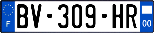 BV-309-HR