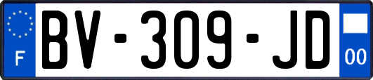 BV-309-JD