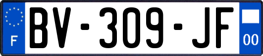 BV-309-JF