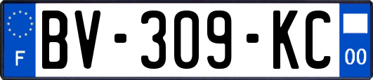 BV-309-KC