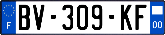 BV-309-KF