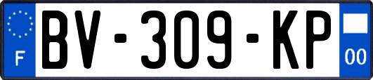 BV-309-KP
