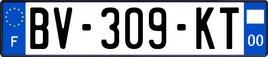 BV-309-KT