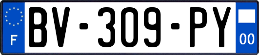 BV-309-PY