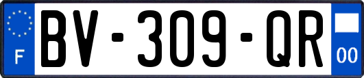 BV-309-QR