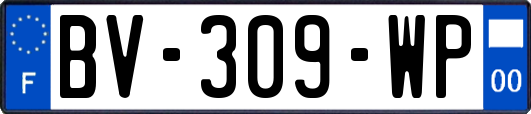 BV-309-WP